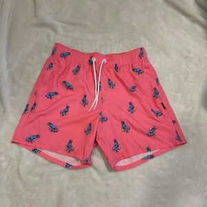 Hollister Men’s Swim Shorts